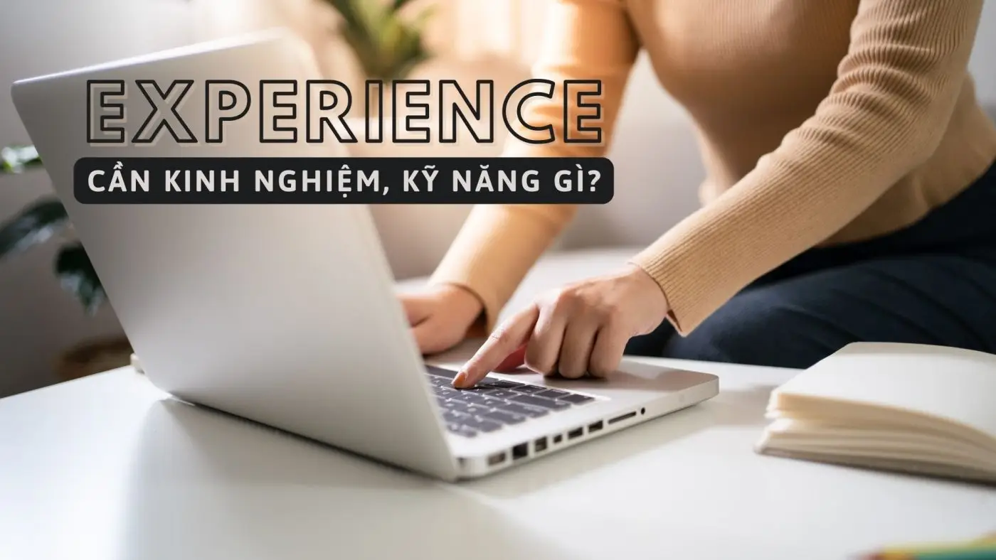 Experience